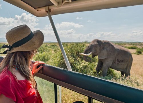 3 Days Masai Mara Safari from Nairobi | Big Five Wildlife Tour