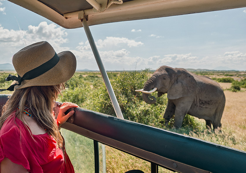 Classic Wildlife Safaris Adventures