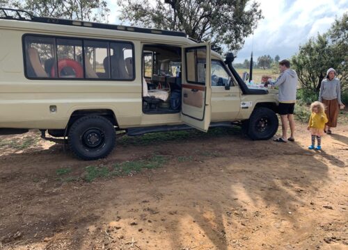 Kenya Safari Costs Breakdown: Planning Your Budget from Start to Finish