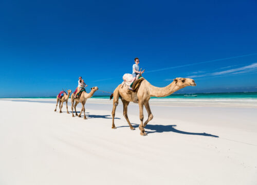 5 Days Mombasa Coastal Safari